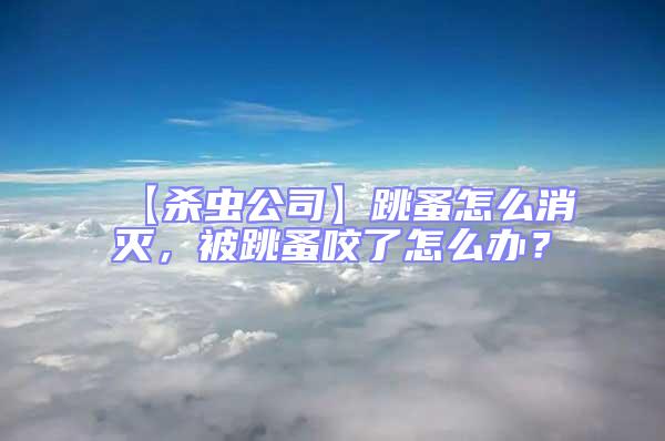 【殺蟲公司】跳蚤怎么消滅，被跳蚤咬了怎么辦？