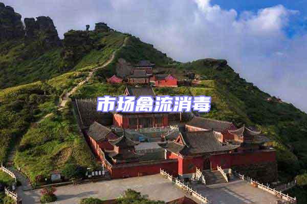 市場禽流消毒