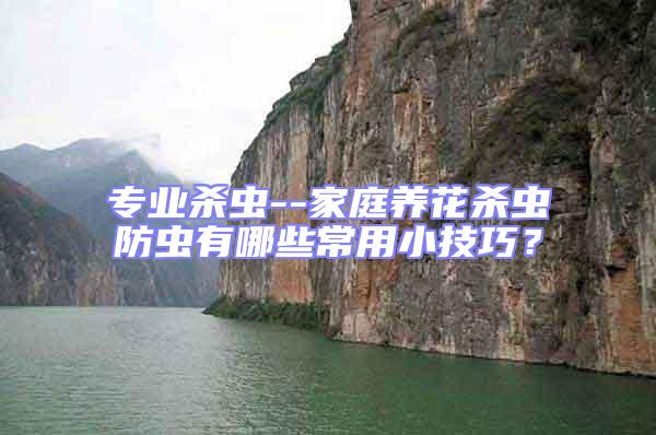 專業(yè)殺蟲--家庭養(yǎng)花殺蟲防蟲有哪些常用小技巧？