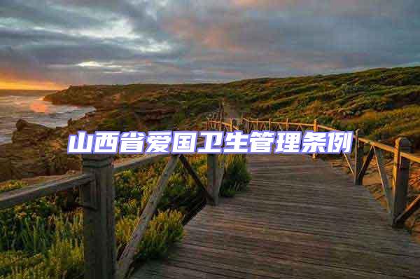 山西省愛國衛生管理條例