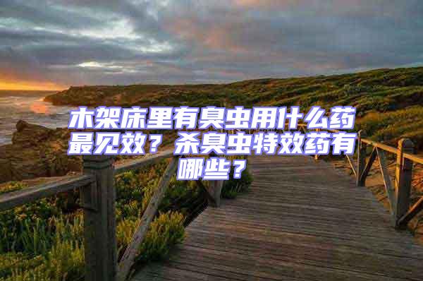 木架床里有臭蟲用什么藥最見效？殺臭蟲特效藥有哪些？