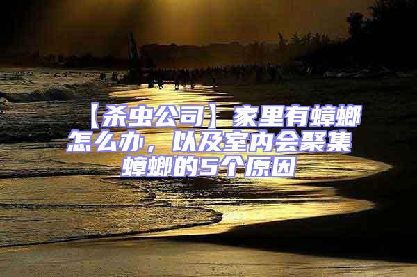 【殺蟲公司】家里有蟑螂怎么辦，以及室內會聚集蟑螂的5個原因