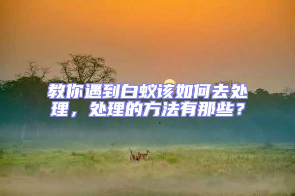 教你遇到白蟻該如何去處理，處理的方法有那些？