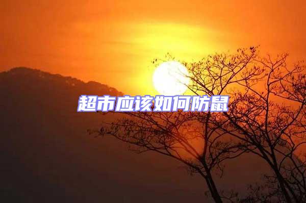 超市應該如何防鼠