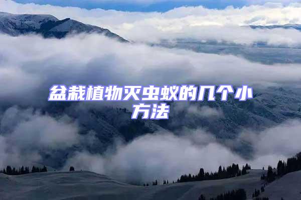 盆栽植物滅蟲(chóng)蟻的幾個(gè)小方法