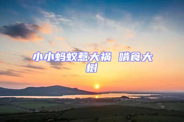 小小螞蟻惹大禍 啃食大樹
