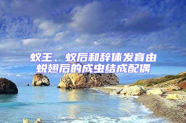 蟻王、蟻后和辭體發育由蛻翅后的成蟲結成配偶