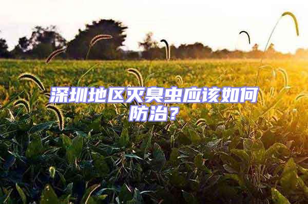 深圳地區滅臭蟲應該如何防治？
