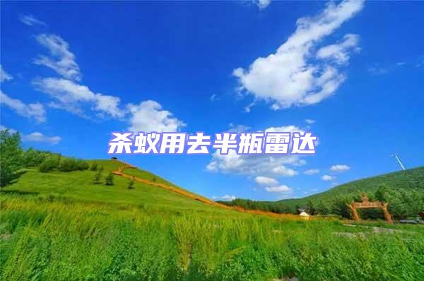 殺蟻用去半瓶雷達