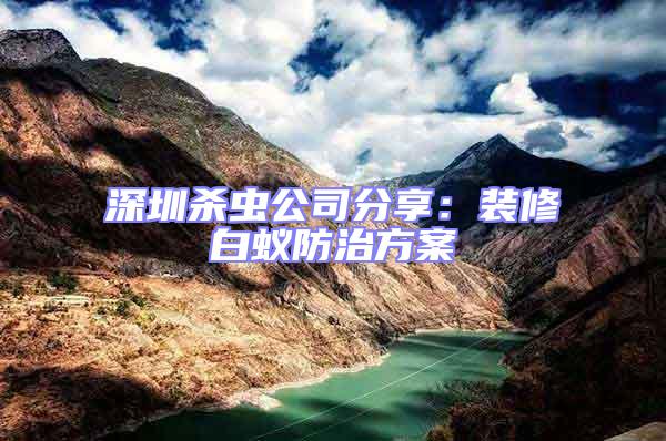 深圳殺蟲公司分享：裝修白蟻防治方案