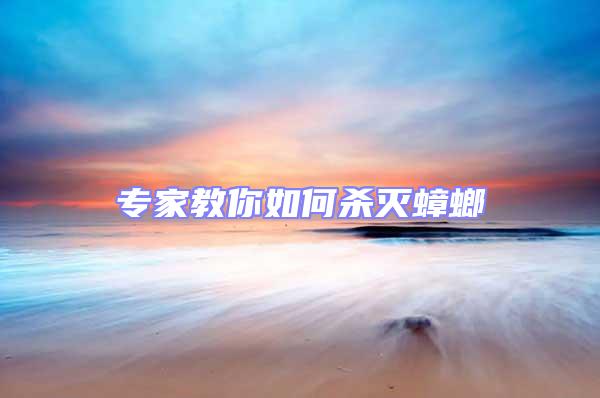 專家教你如何殺滅蟑螂