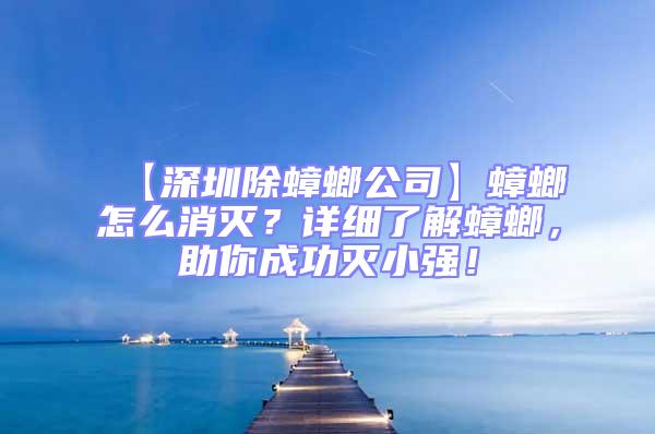 【深圳除蟑螂公司】蟑螂怎么消滅？詳細了解蟑螂，助你成功滅小強！