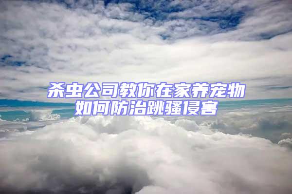 殺蟲公司教你在家養寵物如何防治跳騷侵害