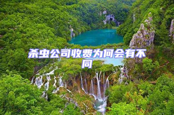 殺蟲公司收費為何會有不同