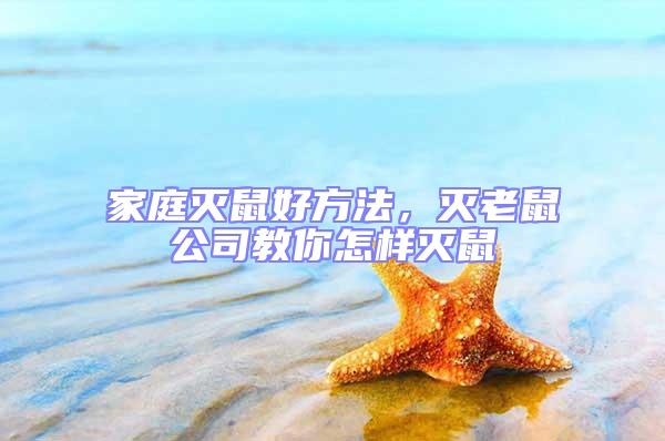家庭滅鼠好方法，滅老鼠公司教你怎樣滅鼠
