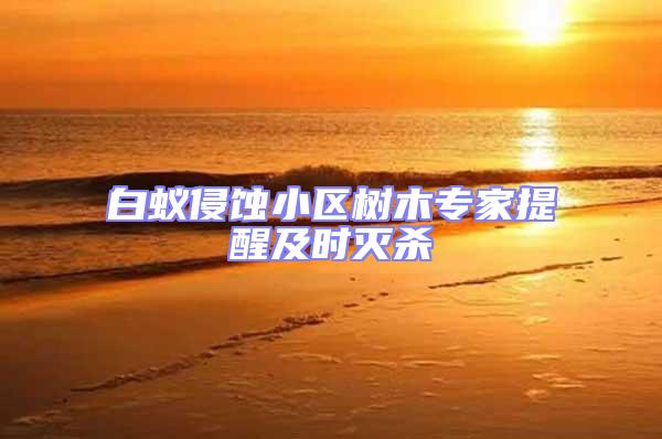 白蟻侵蝕小區樹木專家提醒及時滅殺
