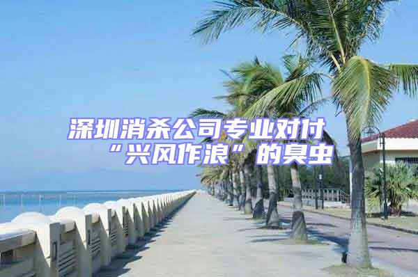 深圳消殺公司專業對付“興風作浪”的臭蟲