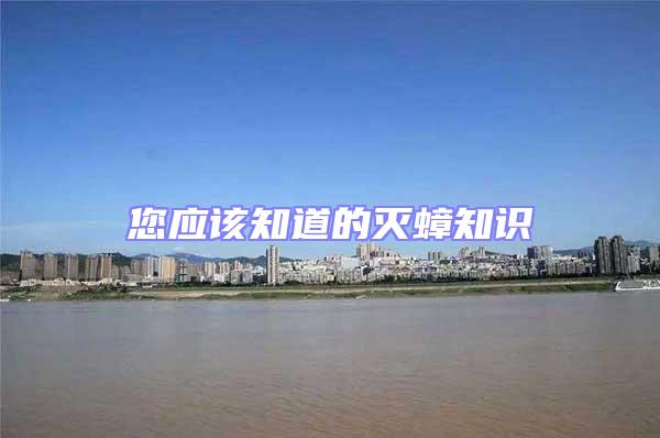您應該知道的滅蟑知識