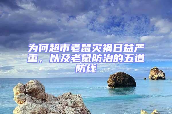 為何超市老鼠災(zāi)禍日益嚴(yán)重，以及老鼠防治的五道防線