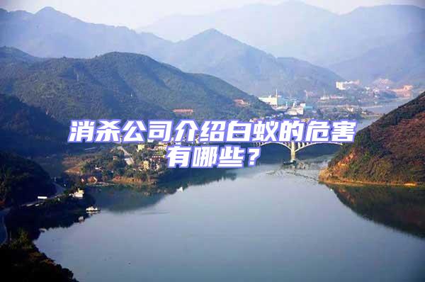 消殺公司介紹白蟻的危害有哪些？