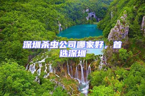 深圳殺蟲(chóng)公司哪家好，首選深圳