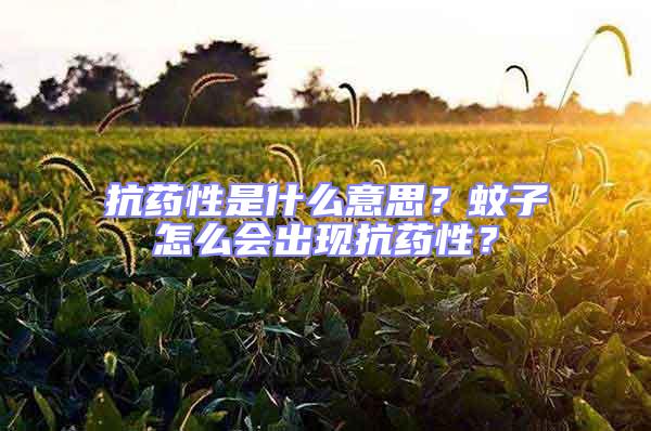 抗藥性是什么意思？蚊子怎么會出現抗藥性？