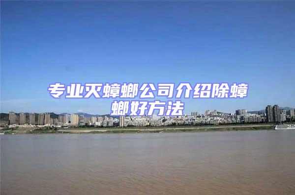 專業(yè)滅蟑螂公司介紹除蟑螂好方法