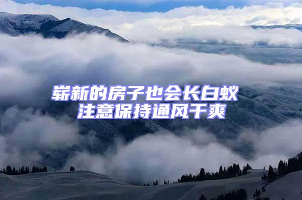 嶄新的房子也會長白蟻 注意保持通風干爽