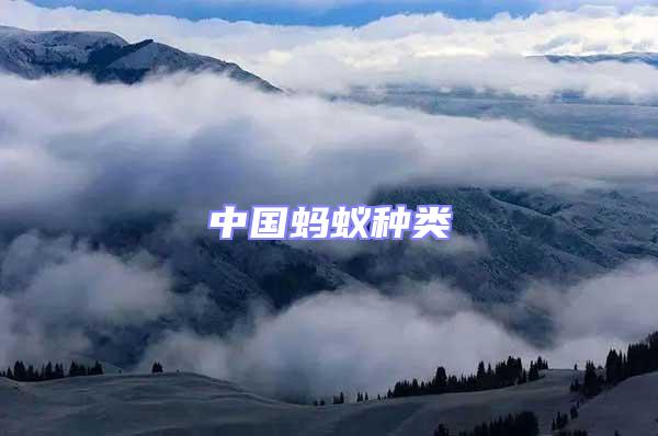 中國(guó)螞蟻種類
