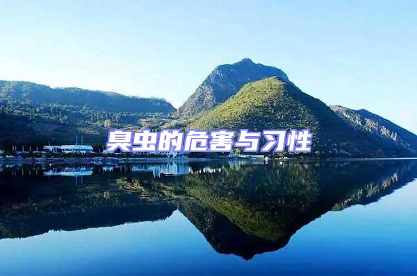 臭蟲的危害與習性