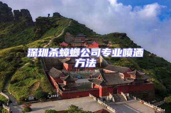 深圳殺蟑螂公司專業(yè)噴灑方法