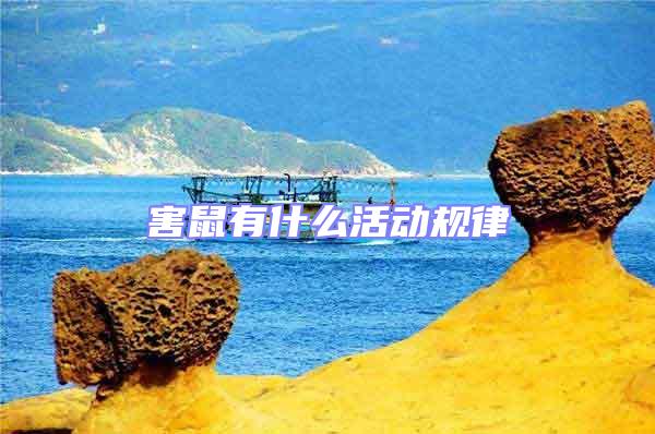 害鼠有什么活動規律