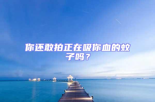 你還敢拍正在吸你血的蚊子嗎？