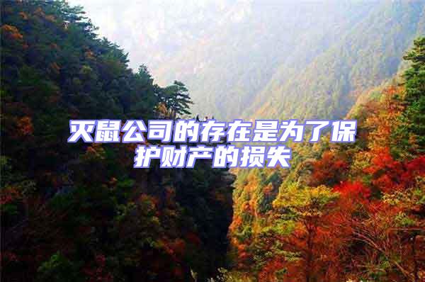 滅鼠公司的存在是為了保護財產(chǎn)的損失