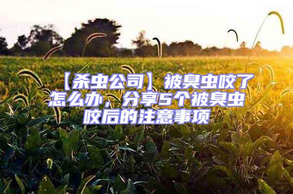 【殺蟲公司】被臭蟲咬了怎么辦，分享5個被臭蟲咬后的注意事項