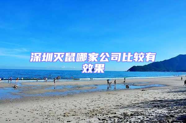 深圳滅鼠哪家公司比較有效果