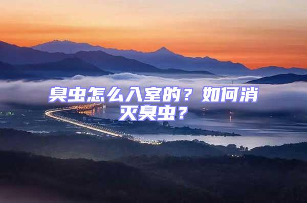 臭蟲怎么入室的？如何消滅臭蟲？