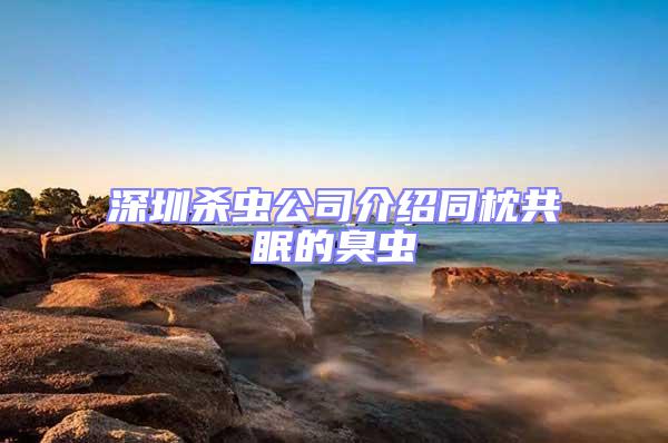 深圳殺蟲(chóng)公司介紹同枕共眠的臭蟲(chóng)
