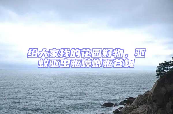 給大家找的花園好物，驅蚊驅蟲驅蟑螂驅蒼蠅