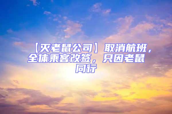 【滅老鼠公司】取消航班，全體乘客改簽，只因老鼠同行