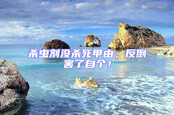 殺蟲(chóng)劑沒(méi)殺死甲由，反倒害了自個(gè)！