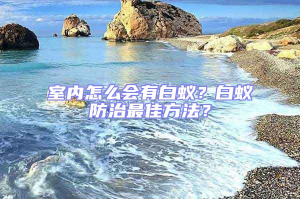 室內(nèi)怎么會(huì)有白蟻？白蟻防治最佳方法？