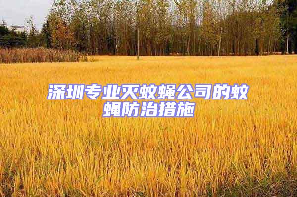 深圳專業滅蚊蠅公司的蚊蠅防治措施
