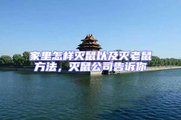 家里怎樣滅鼠以及滅老鼠方法，滅鼠公司告訴你