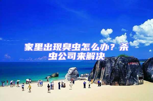 家里出現(xiàn)臭蟲(chóng)怎么辦？殺蟲(chóng)公司來(lái)解決