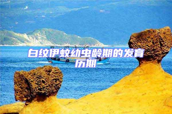 白紋伊蚊幼蟲齡期的發育歷期