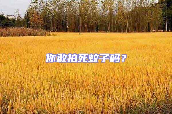 你敢拍死蚊子嗎？