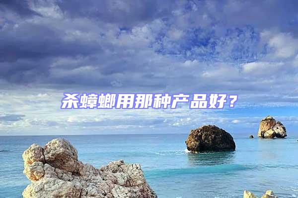 殺蟑螂用那種產品好？
