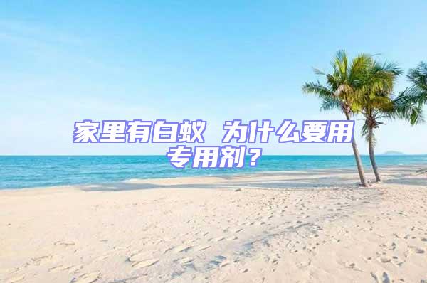 家里有白蟻 為什么要用專用劑？