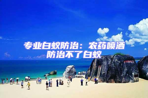 專業白蟻防治：農藥噴灑防治不了白蟻